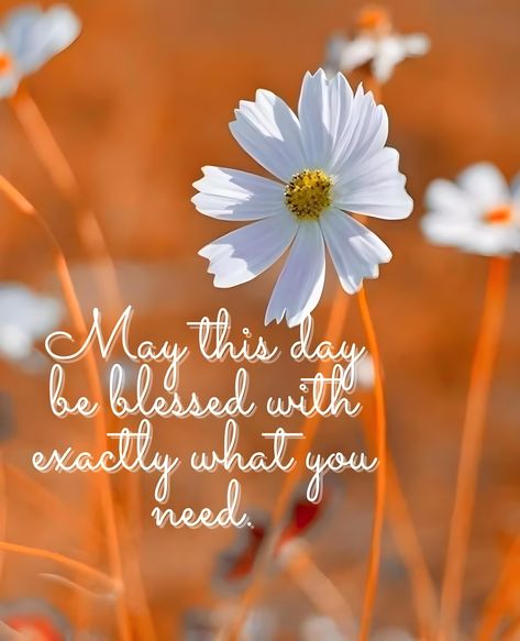 Weekend Greetings Beautiful, May Your Day Be Filled Quotes, Be Blessed Today, Encouragement Box, Weekly Quotes, Daily Wishes, Pure Soul, Thinking Of You Quotes, God's Blessings