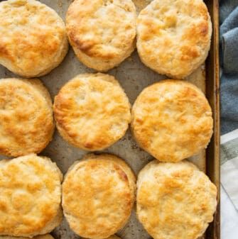 3 ingredient biscuits 3 Ingredient Biscuit Recipe, Honey Butter Biscuits, Vegan Biscuits, Buttermilk Biscuits Recipe, Breaking Bread, Keto Chocolate, Buttermilk Biscuits, Self Rising Flour, Honey Butter