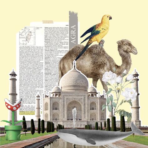 Eva Airlines, Travel Brochure Design, Presentation Pictures, City Collage, Bored Jar, City Postcard, Taj Mahal India, Tourism Day, Collage Diy