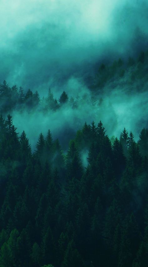 Teal Wallpaper Iphone, Awesome Backgrounds, Samsung Wallpapers, Turquoise Aesthetic, Fog Forest, Turquoise Wallpaper, Twilight Pictures, Ipad Ios, Dark Green Aesthetic