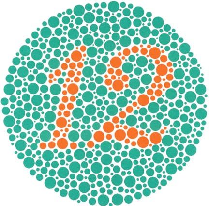 Here is the Ishihara color blindness test online.  Position yourself approximately 2 feet from your monitor and take 3 seconds to study each... Different Types Of Colours, Lose A Stone, Color Vision, Color Blind, Jewelry Auction, Save Earth, Help People, Silver Pendants, Op Art