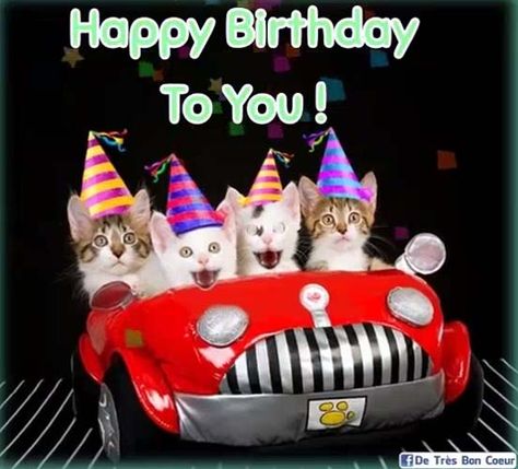 Free Singing Birthday Cards, Minions Singing, Singing Birthday Cards, Cats Singing, Happy Birthday Free, Birthday Ecard, Happy Birthday Ecard, Happy Birthday Minions, Happy Birthday Cat