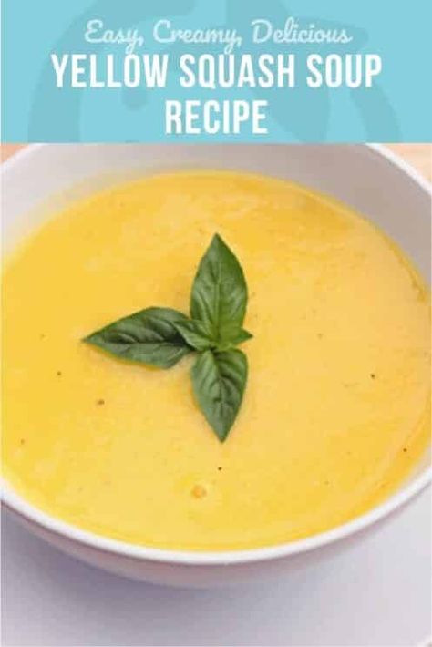 Squash Soup Recipes, Summer Squash Soup, Summer Canning, Yellow Squash Soup, Soup Recipes Healthy, Sweet Potato Rolls, Creamy Potatoes, Yellow Squash Recipes, Squash Vegetable