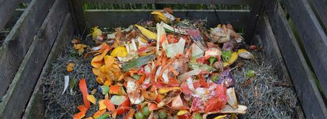 An introduction to successful composting - how to do it and how to solve common problems Making A Compost Bin, Compost Bin Diy, Compost Tumbler, Diy Compost, Composting Process, How To Make Compost, Composting At Home, Worm Composting, Organic Compost