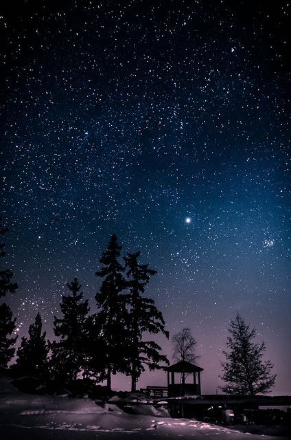 Night Sky With Stars, Sky With Stars, Night Sky Photography, Night Sky Wallpaper, Sky Full Of Stars, Star Light, Beach Wallpaper, Tumblr Wallpaper, The Night Sky