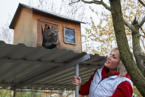 How to Get a Feral Cat to Use a Shelter (8 Tips & Tricks) - Catster Feral Cat House Outdoor, Feral Cat Shelter Winter Diy, Stray Cat Shelter Diy, Diy Feral Cat Shelter Cold Weather, Outdoor Cat Shelter Diy, Diy Outdoor Cat House, Cat Shelters For Winter, Insulated Cat House, Outdoor Cat Shelter