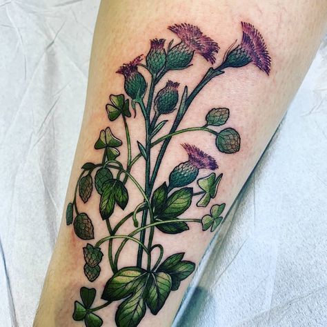 Shamrock and Scottish Thistle Tattoo | Tattoo Ideas and Inspiration Thistle Shamrock Tattoo, Shamrock And Thistle Tattoo, Flower Of Scotland Tattoo, Rose Thistle Shamrock Tattoo, Thistle Ankle Tattoo, Irish Clover Tattoo, Shamrock Tattoo, Irish Flower Tattoo, Scottish Thistle Tattoo Watercolor