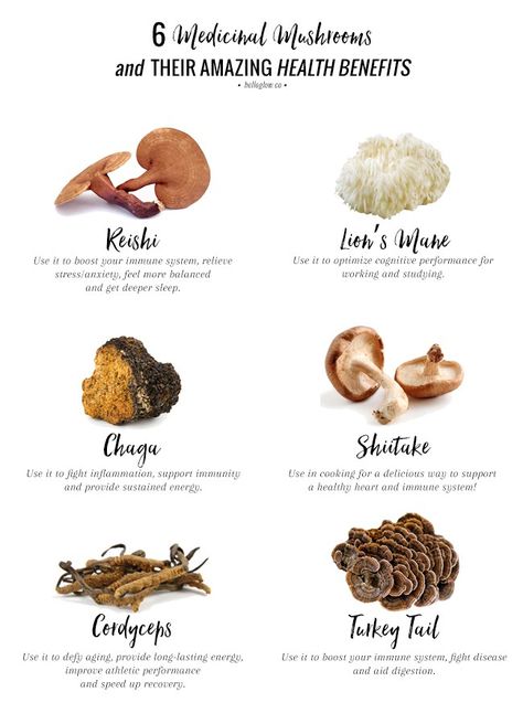 6 Medicinal Mushrooms + Their Amazing Health Benefits Benefits Of Mushrooms, Types Of Mushrooms, Health Benefits Of Mushrooms, Calendula Benefits, Matcha Benefits, Coconut Health Benefits, Stomach Ulcers, Holistic Nutritionist, Benefits Of Coconut Oil