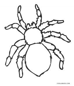 Free Printable Spider Coloring Pages For Kids | Cool2bKids Tarantula Drawing Easy, Spiders For Kids, Spider Coloring Pages, Spider Printable, Lucas The Spider, Spider Pictures, Spider Coloring Page, Kids Printable Coloring Pages, Spider Drawing