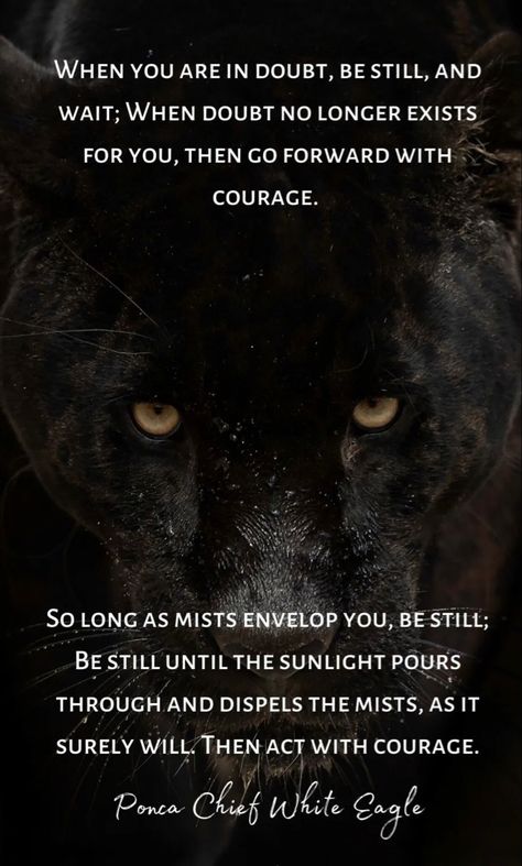 How To Build Your Confidence And Find More Balance Through The Black Jaguar When we work with the Black Jaguar as a guide, this energy rapidly expedites our personal and spiritual growth. This powerful feline energy expands our consciousness in such a way that we can face our fears and overcome them from a place of power. Black Panther Symbolism, Jaguar Quotes, Panther Symbolism, Creative Status, Panther Quotes, Feline Energy, Norse Witch, Black Jaguar Animal, Channeling Spirits