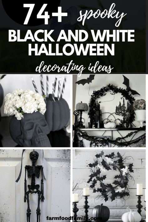 It is black and white, and it is classic, spooky and chic all at the same time. This list of Halloween decorating ideas for outdoors or indoors shows creative ways to use black and white decorations. Check out these 74+ Spooky Black and White Halloween decorations #halloween #halloweendecorations #homedecorideas #farmfoodfamily White Halloween Decor Outdoor, Halloween White Decor, Black And White Halloween Party Ideas, Black And White Halloween Aesthetic Decor, Diy Black Halloween Decor, Black And White Halloween Decor Outdoor, Above Kitchen Cabinet Halloween Decor, Halloween Decorations Black And White, Black And White Halloween Decor Living Room