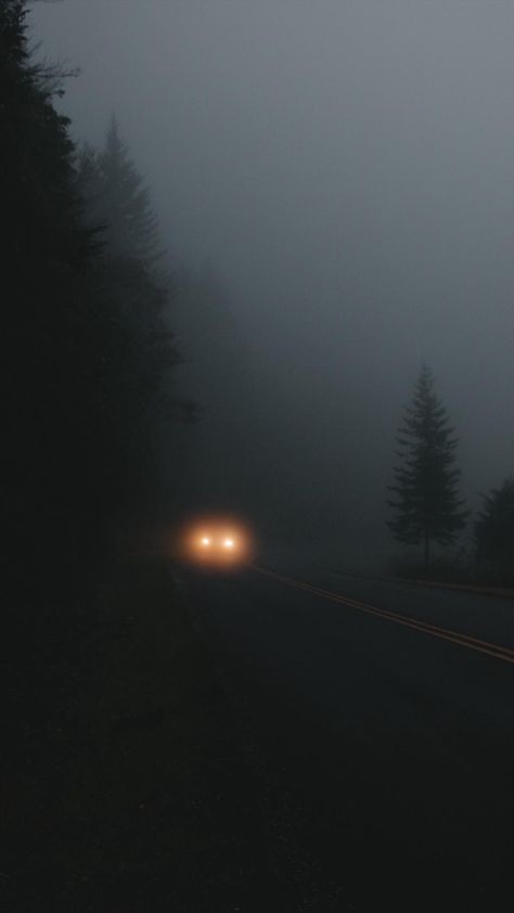 Paradis Sombre, Foggy Road, Dark Naturalism, Dark Green Aesthetic, Dark Nature Aesthetic, Dark Paradise, Photo Vintage, Stunning Wallpapers, Dark Photography