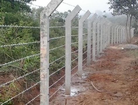 Barbed wire or barb wire is a sort of fencing wire built with prickly points or… Barbed Wire Fencing Ideas, Barbed Wire Fence Ideas, Farm Fencing Ideas, Barb Wire Fence, Sheep Fence, Agriculture Photography, Barbed Wire Fence, Fence Wall Design, Perimeter Security