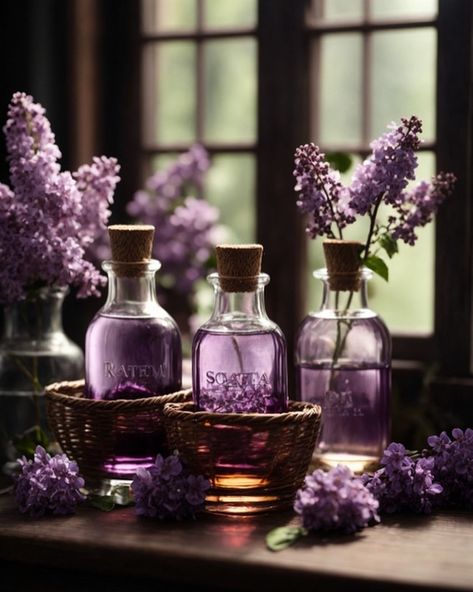 Juleka Aesthetic, Witchy Tea, Witches Jar, Lavender Bouquet, Display Pictures, Witchy Wallpaper, Lavender Sage, Purple Love, All Things Purple