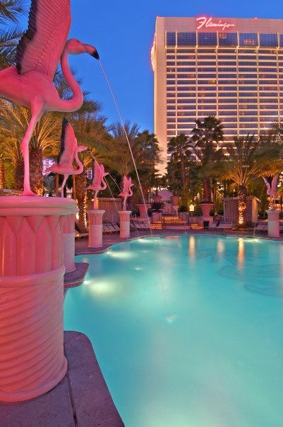 Flamingo Pool, Las Vegas. Best Pools In Vegas, Flamingo Casino, Flamingo Hotel Las Vegas, Flamingo Las Vegas, Vegas Pools, Flamingo Hotel, Old Vegas, Flamingo Pool, Vegas Vacation