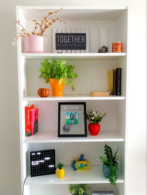 colorful | bright | house | home | apartment | decorations | fun flower pots | funky | odd | minimalist | work in progress Eclectic Bookshelf, Room Shelf Decor, Colorful Vases, Bright House, Room Shelf, Home Apartment, Room Shelves, Bookshelf Decor, Study Room