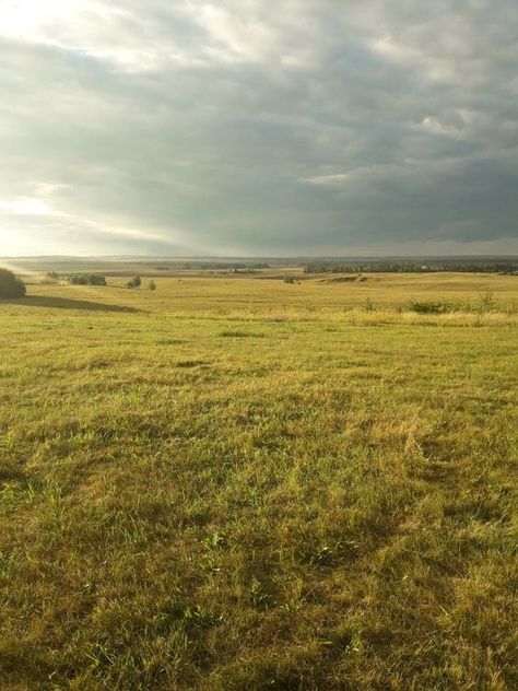 Midwest Field Aesthetic, Open Fields Aesthetic, Bright Nature Aesthetic, Frolicking In A Field Aesthetic, Grassy Field Aesthetic, Grass Field Aesthetic, Open Field Aesthetic, Grassland Aesthetic, Grassy Background