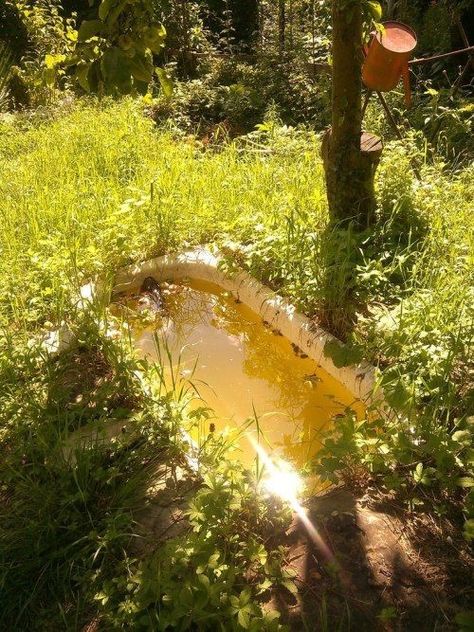 Dream Bath, Mellow Yellow, The Grass, Nature Aesthetic, Pretty Places, Green Aesthetic, Cottage Core, Pretty Pictures, A Tree