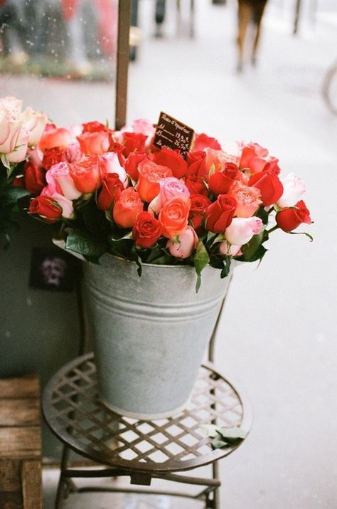 Colorful Roses, Arte Floral, Flower Market, Beautiful Blooms, Plant Life, Love Flowers, My Flower, Flower Shop, Pretty Flowers