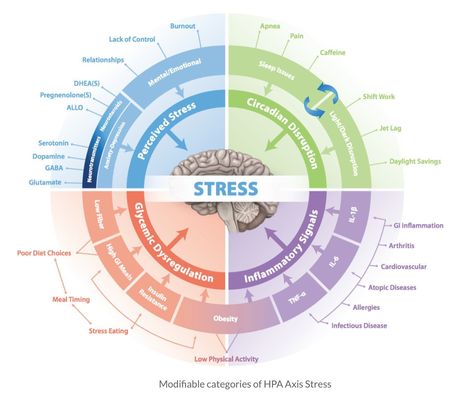 How we view stress is always changing!! • • #aretehealth #aretedaily #healthcoach #health #sickness #wellness #fitness #healthyfood #nutrition #detox #stress #sleep #movement #holistic #mindfullness #telehealth #world #medicine #rehab #community #aretecommunity Personalized Nutrition, Mindfulness For Kids, Sleep Issues, Mood Boost, Mental Wellbeing, Optimal Health, Body Composition, Healthy Lifestyle Tips, Good Mental Health