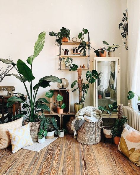 How to arrange indoor plants to enhance interior Plants In Living Room, Plants In Bedroom, Decorate Home, Living Room Plants, Living Vintage, Plant Decor Indoor, Room With Plants, Cactus Y Suculentas, Byron Bay