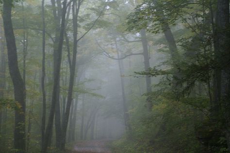 Adirondacks in upstate New York | Flickr - Photo Sharing! Winter In Upstate New York, Northeastern Gothic, New York Gothic, Upstate New York Aesthetic, New York Nature, Calm Color Palette, Rain Pictures, Foggy Day, Boone Nc