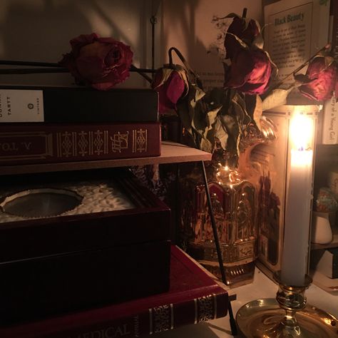 Room Inspiration Victorian, Academia Bookshelf Aesthetic, Taylor Swift Books, Academia Bookshelf, Victorian Room Decor, History Dark Academia, Romantic Academia Aesthetic, Red Room Decor, My Love Photo