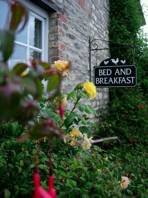 English Bed And Breakfast, Brindlewood Bay, Act Your Age Eve Brown, Anniversary Breakfast, Bed And Breakfast Sign, Talia Hibbert, Eve Brown, Bed And Breakfast Ideas, Bed N Breakfast