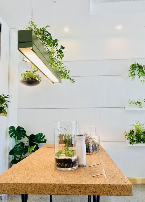 Office with plants