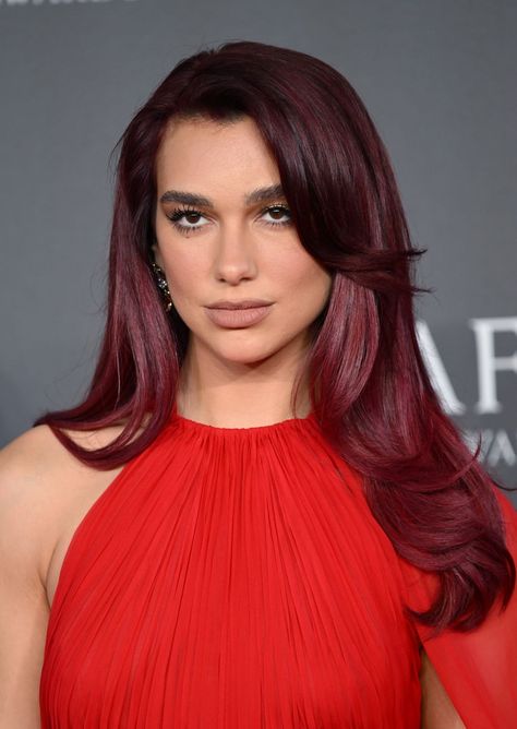 30 Fresh Hair Colors to Try This Spring Red Hair Warm Skin Tone, Hair Color For Spring, Lavender Hair Dye, Cola Hair, Cherry Cola Hair, Shiny Black Hair, Spring Hair Color Ideas, Hair Coloring Ideas, Hair Color Ideas For Spring