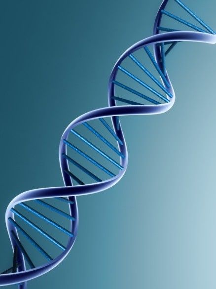 Dna Double Helix Model, Dna Aesthetic, Double Helix Dna, Dna Spiral, Dna 3d, Linkedin Background Photo, Blood Dragon, Dna Art, Dna Tattoo