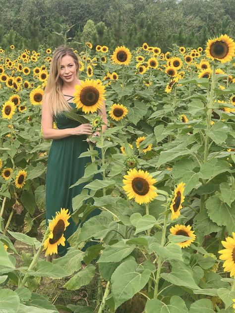 Sunflower Picking in Picayune, Mississippi • Southern Chick Journal Picayune Mississippi, Shield Bugs, Family Farm, Flower Field, Spring And Fall, Mississippi, New Orleans, Wild Flowers, Sunflower