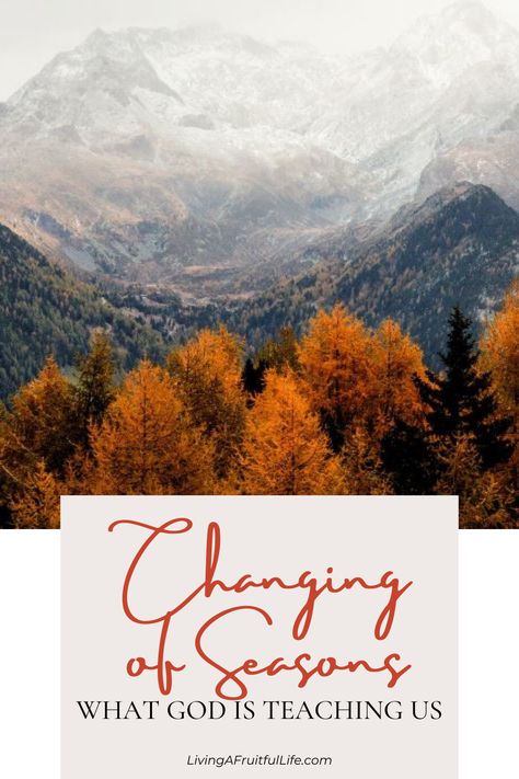 Explore the spiritual lessons behind changing seasons with insights from the Bible. Discover what God teaches us about life's cycles, patience, gratitude, and transformation. Dive into the wisdom of nature's beauty and God's plan for our lives in this inspirational post. 🍂📖 #SpiritualLessons #ChangingSeasons #BibleWisdom September Devotional, Ladies Ministry Fall Themes, Season Change, Fall Devotionals For Women, Seasons Lessons, Women Devotional, Bible Object Lessons, Kids Sunday School Lessons, Fall Lessons