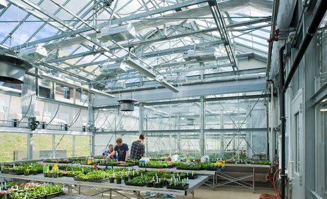 CNS Research & Education Greenhouse - Payette Lighting Temperature, Plant Research, Evaporative Cooling, Research Facility, Campus Design, Artificial Lighting, University Of Massachusetts, Seed Germination, Rural Landscape