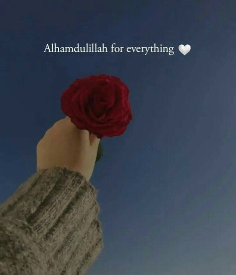 Best Ramadan Quotes, Eid Pics, Alhamdulillah For Everything, Party Wear Gowns, Self Pictures, Iphone Wallpaper Classy, Cute Mobile Wallpapers, Beautiful Quran Verses, Flowers Photography Wallpaper