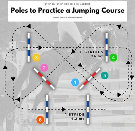 Jumping Courses Horse, Jumping Exercises For Horses, Pole Exercises For Horses, Equestrian Jumping Exercises, Jumping Courses, Horse Jumping Exercises, Riding Ideas, Jumping Exercises, Equestrian Jumping