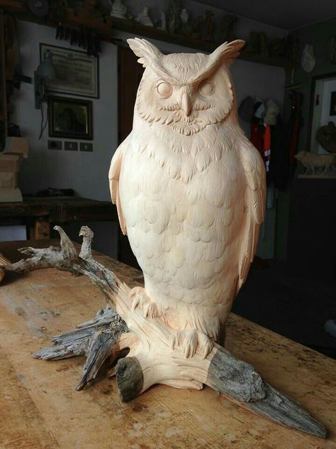 Owl Wood Carving, Chainsaw Wood Carving, Wood Sculpture Art, Chainsaw Carvings, Wood Owls, Wooden Owl, Bird Carving, Tree Carving, Chip Carving