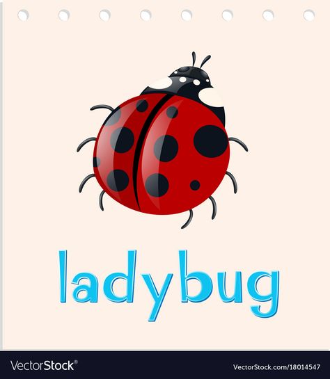 Ladybug Insect Illustration, Ladybug Vector, Red Insects, Ladybug Insect, Ladybug Cartoon, Insect Illustration, Red Beetle, Rabbit Vector, Baby Clip Art