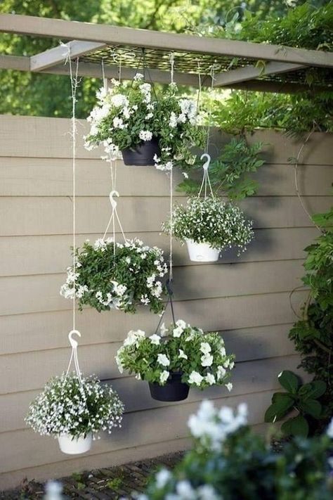 Diy Garden Landscaping, Christmas Patio, Hanging Flower Pots, Patio Planters, Patio Plants, Hanging Flower, Modern Backyard, Ideas Patio, Backyard Garden Design