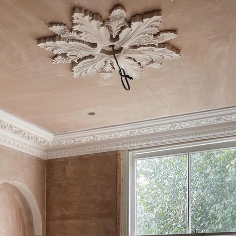 The family bathroom is really coming together, the beautiful ornate Victorian cornice and ceiling roses by @PlasterMouldingsLondon were i... | Instagram Victorian Ceiling Rose, Victorian Ceiling Design, Victorian Cornice, Colourful Ceiling, Cornice Ceiling, Cornices Ceiling, Ornate Ceiling, Waterfall Garden, Victorian Ceiling