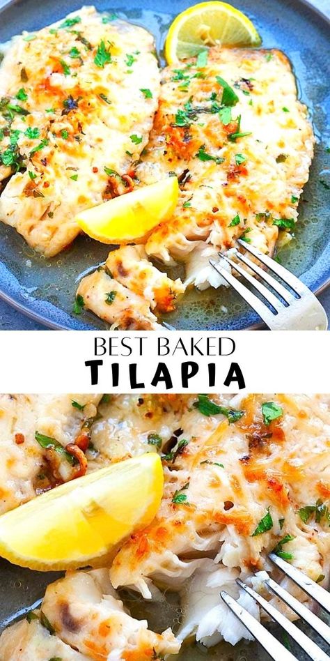 Best Tilapia, Easy Baked Tilapia, Tilapia Recipes Healthy, Tilapia Recipes Easy, Baked Tilapia Recipes, Tilapia Recipe, Tilapia Fish, Baked Tilapia, Fish Dinner Recipes