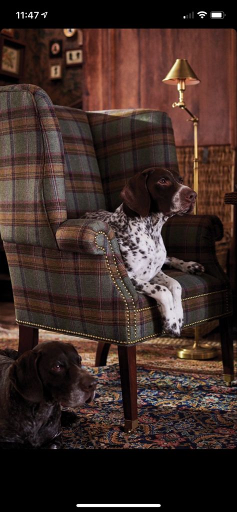 Ralph Lauren Home Living Room English, Ralph Lauren Cabin, Ralph Lauren Home Living Room, Ralph Lauren House, Lodge Interiors, Ralph Lauren Interiors, Scottish Interiors, Plaid Chair, Ralph Lauren Looks