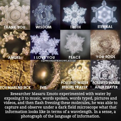 • Project Knowledge • on Instagram: “He found that positive frequencies created beautiful hexagonal symmetry while negative wavelengths took on chaotic, disorganized…” Masaru Emoto, Water Experiments, Herbal Cleanse, Beakers, Things Under A Microscope, Knowledge And Wisdom, Freedom Fighters, Natural Herbs, Good Energy