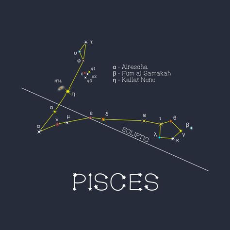 Check out this awesome 'Zodiac+Constellation+PISCES' design on @TeePublic! Pisces Design, Star Names, Space Shuttle Challenger, Pisces Personality, Zodiac Sign Designs, Pisces Fish, Pisces Constellation, Astrology Pisces, Astronomy Art