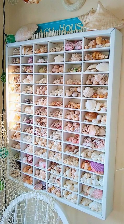 Sea Shell Display, Printer Tray, Cubby Organizer, Seashell Display, Shell Display, Hantverk Diy, Seashell Projects, Art Coquillage, Printers Tray