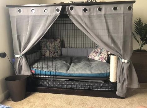 How to spoil your pup. Cute Kennel Ideas, Dog Cage Set Up, Aesthetic Dog Cage Ideas, Puppy Set Up Ideas In Bedroom, Dog Crate Decor, Dog Setup In Bedroom, Dog Crate Set Up Puppys, Puppy Crate Aesthetic, Dog Crate Ideas