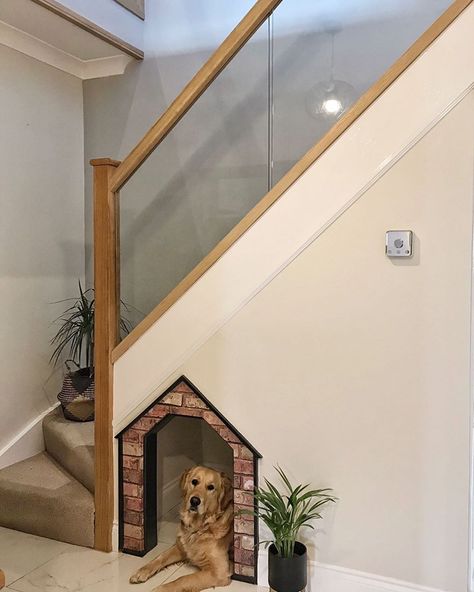 Dog bedroom under stairs | Dog cave Dog Section In House, Dog Bedroom Under Stairs, Under The Stairs Dog House, Dog Houses For Big Dogs, Hall Floor Tiles, Dog House Under Stairs, House Under Stairs, Outdoor Dog Houses, Dog Bedroom Ideas