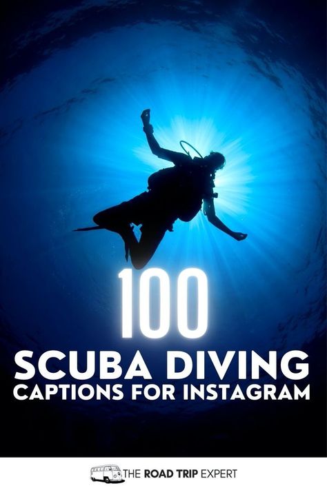 Scuba Diving Captions for Instagram Underwater Quotes, Scuba Diving Pictures, Scuba Diving Quotes, Diving Quotes, Sky Diving, Underwater Pictures, Perfect Captions, Best Scuba Diving, Good Instagram Captions