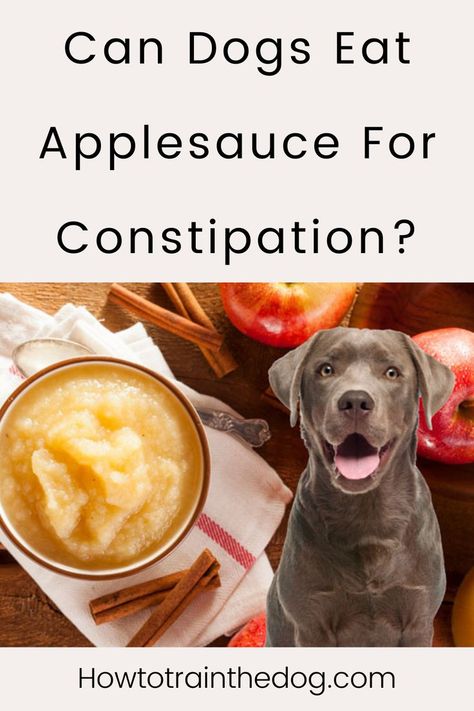 Is Applesauce Good For Dogs? Can Dogs Eat Applesauce For Diarrhea? And Can Dogs Eat Applesauce For Constipation? #candogseat #dogcare #dogfood Dog Health Care Natural Remedies, Constipated Dog Home Remedies, Constipation Relief For Dogs, Dog Constipation Remedies, Constipation In Dogs, What To Feed Dogs, Constipated Dog, Meds For Dogs, Sick Puppies