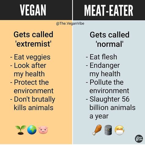 To summarize the facts 🤔 #theveganvibe Vegan Vs Meat Eater, Vegan Quotes Funny, Vegan Jokes, Meat Eater, Vegan Vibes, Vegan Memes, Vegan Baby, Vegan Quotes, Eat Veggies